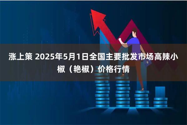 涨上策 2025年5月1日全国主要批发市场高辣小椒（艳椒）价格行情