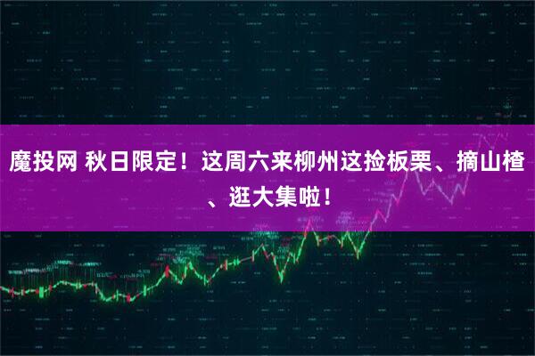 魔投网 秋日限定！这周六来柳州这捡板栗、摘山楂、逛大集啦！